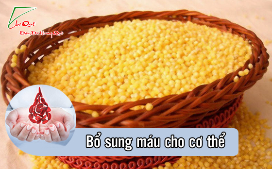 Hạt kê có tác dụng trừ những bệnh gì?